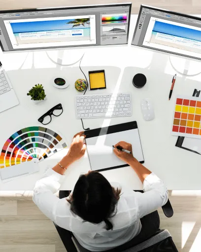 Web Development
